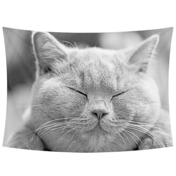 ^yXg[ L Ǌ|ǉ k @\Ǌ| t@ubNpi EH[fR[V ͗lւ  J[e Mtg 