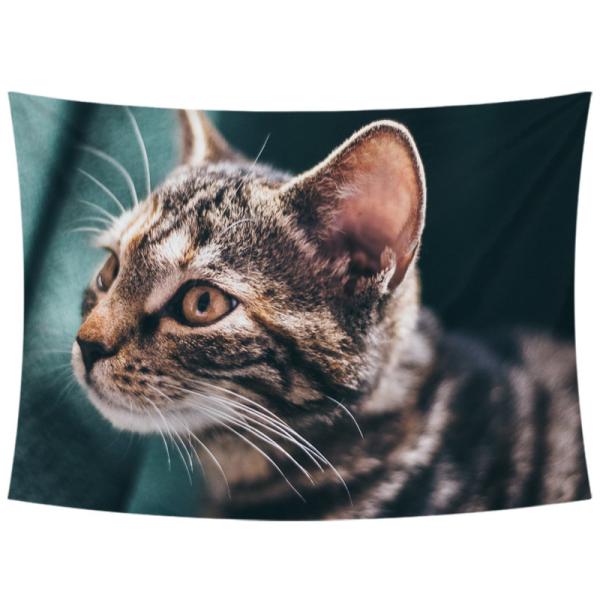 ^yXg[ L Ǌ|ǉ k @\Ǌ| t@ubNpi EH[fR[V ͗lւ  J[e Mtg 