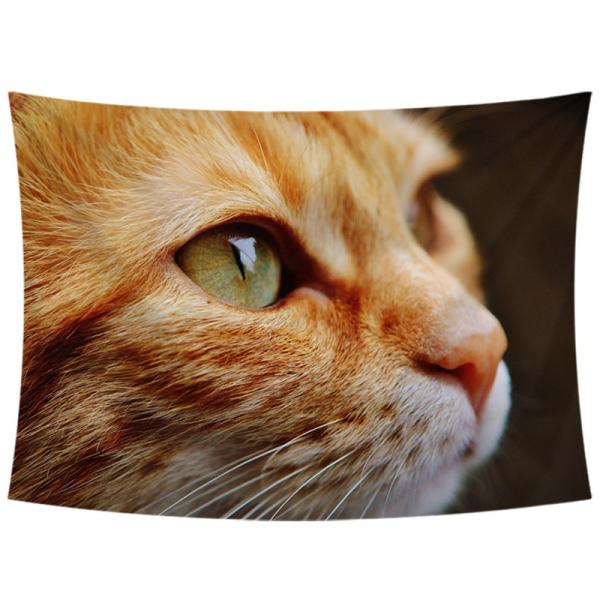 ^yXg[ L Ǌ|ǉ k @\Ǌ| t@ubNpi EH[fR[V ͗lւ  J[e Mtg 