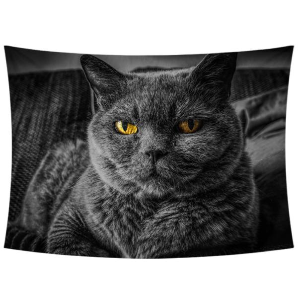 ^yXg[ L Ǌ|ǉ k @\Ǌ| t@ubNpi EH[fR[V ͗lւ  J[e Mtg 