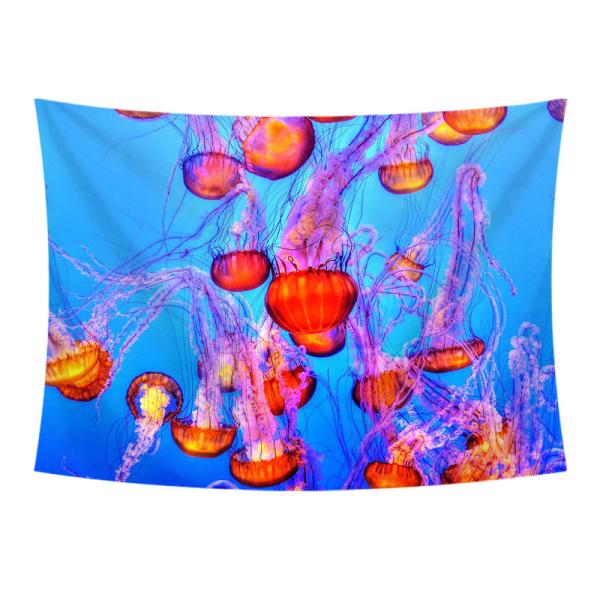 ^yXg[ NQ Ǌ|ǉ k @\Ǌ| t@ubNpi EH[fR[V ͗lւ  J[e Mtg 