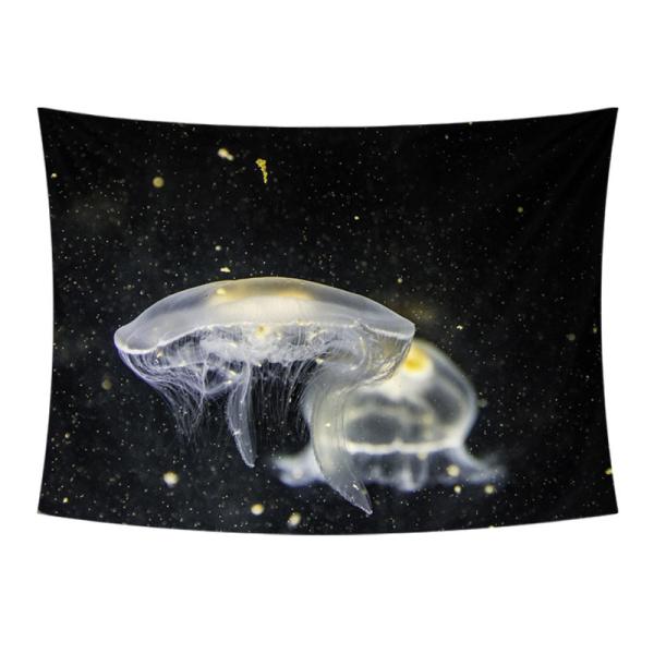 ^yXg[ NQ Ǌ|ǉ k @\Ǌ| t@ubNpi EH[fR[V ͗lւ  J[e Mtg 