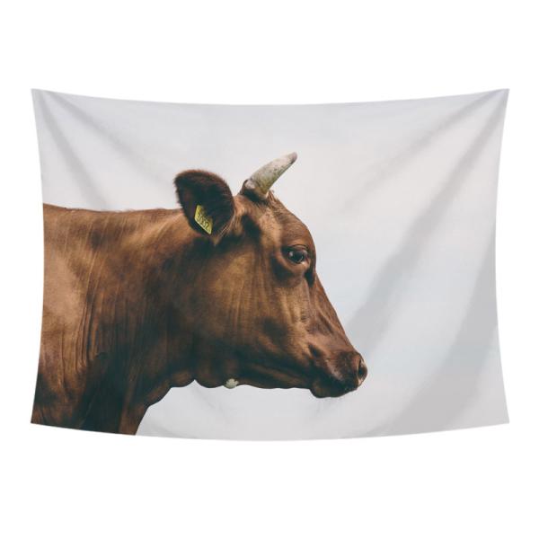 ^yXg[  Ǌ|ǉ k @\Ǌ| t@ubNpi EH[fR[V ͗lւ  J[e Mtg 