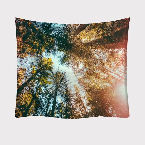 ^yXg[ X Ǌ|ǉ    @\Ǌ| t@ubNpi EH[fR[V ͗lւ  J[e Mtg