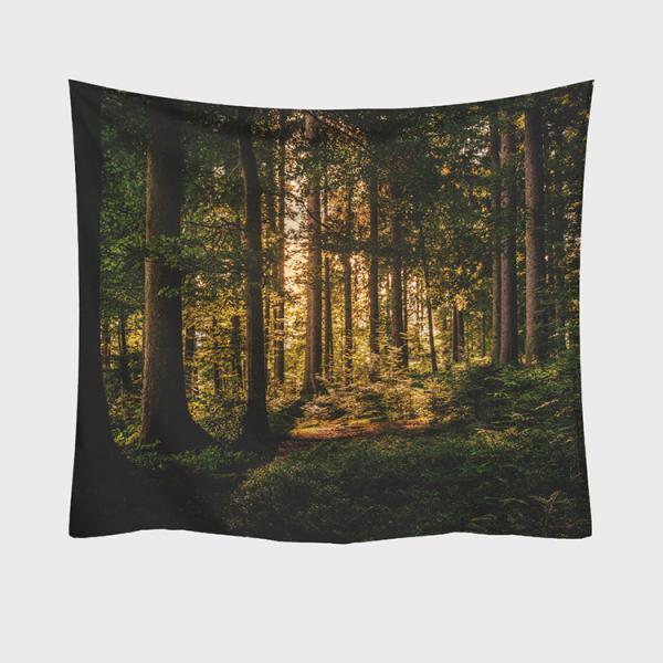 ^yXg[ X Ǌ|ǉ    @\Ǌ| t@ubNpi EH[fR[V ͗lւ  J[e Mtg