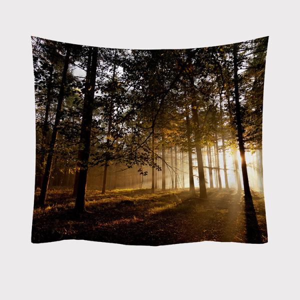 ^yXg[ X Ǌ|ǉ    @\Ǌ| t@ubNpi EH[fR[V ͗lւ  J[e Mtg