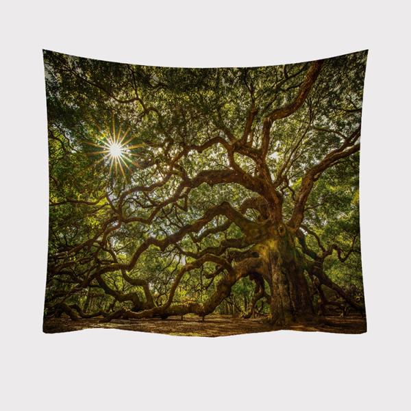 ^yXg[ X Ǌ|ǉ    @\Ǌ| t@ubNpi EH[fR[V ͗lւ  J[e Mtg