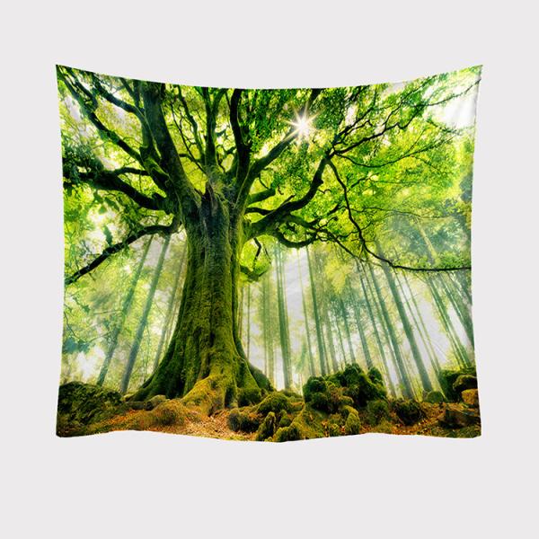 ^yXg[ X Ǌ|ǉ    @\Ǌ| t@ubNpi EH[fR[V ͗lւ  J[e Mtg