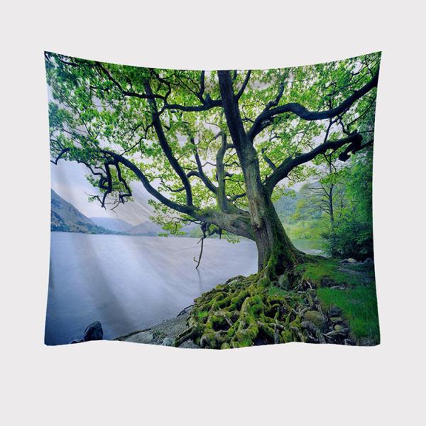 ^yXg[ X Ǌ|ǉ    @\Ǌ| t@ubNpi EH[fR[V ͗lւ  J[e Mtg