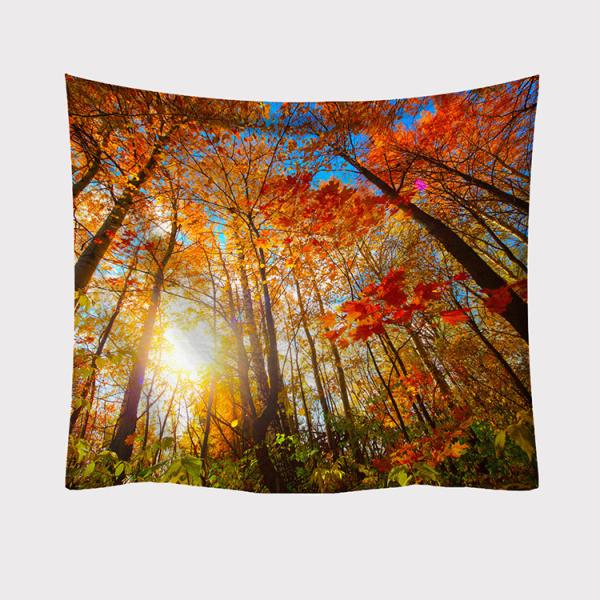 ^yXg[ X Ǌ|ǉ    @\Ǌ| t@ubNpi EH[fR[V ͗lւ  J[e Mtg