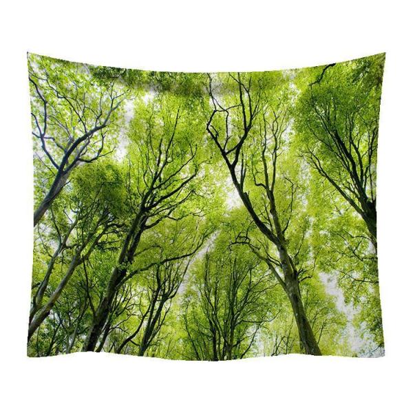 ^yXg[ X Ǌ|ǉ    @\Ǌ| t@ubNpi EH[fR[V ͗lւ  J[e Mtg