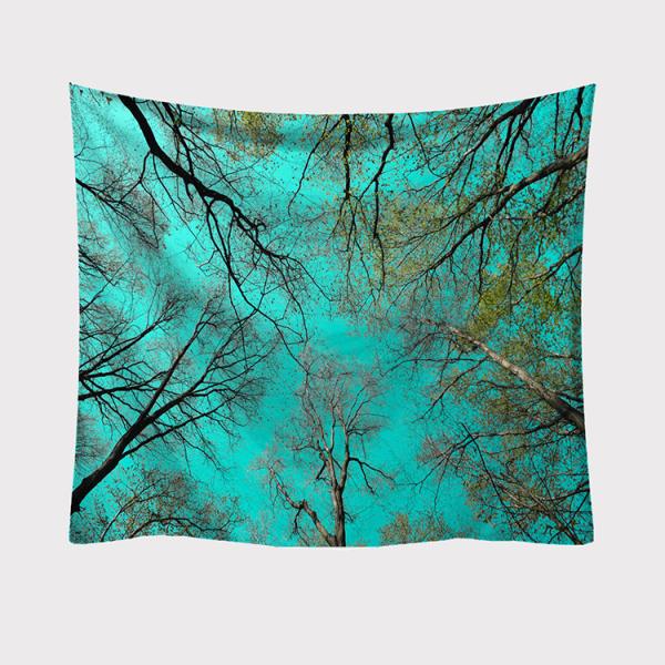 ^yXg[ X Ǌ|ǉ    @\Ǌ| t@ubNpi EH[fR[V ͗lւ  J[e Mtg