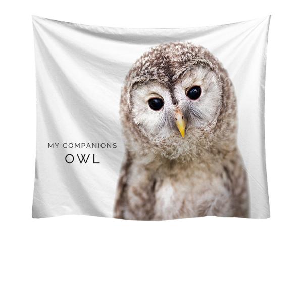 ^yXg[ tNE Ǌ|ǉ k @\Ǌ| t@ubNpi EH[fR[V ͗lւ  J[e Mtg 