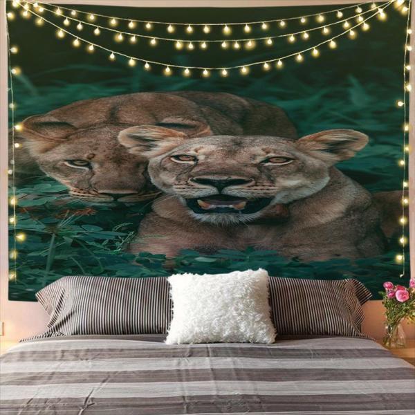 ^yXg[  Ǌ|ǉ k @\Ǌ| t@ubNpi EH[fR[V ͗lւ  J[e Mtg 