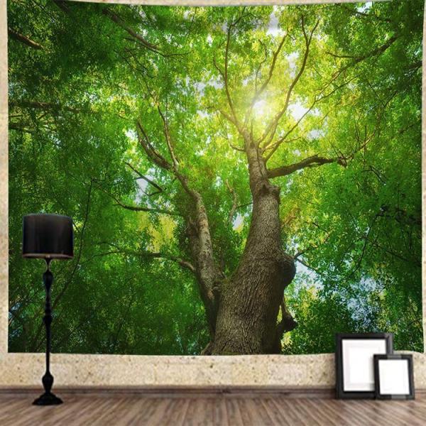 ^yXg[  Ǌ|ǉ    @\Ǌ| t@ubNpi EH[fR[V ͗lւ  J[e Mtg