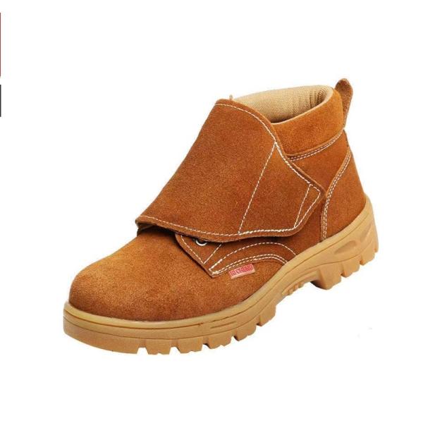 SC ƌC Y nڍƗp u[c ϔM n F b ՑO nڃv