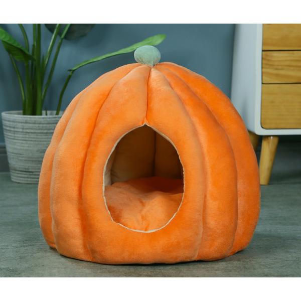 LnEX ^ Lxbh ۉh L ybgnEX xbh~p g h΍ ybgxbh ӂӂ Lpi