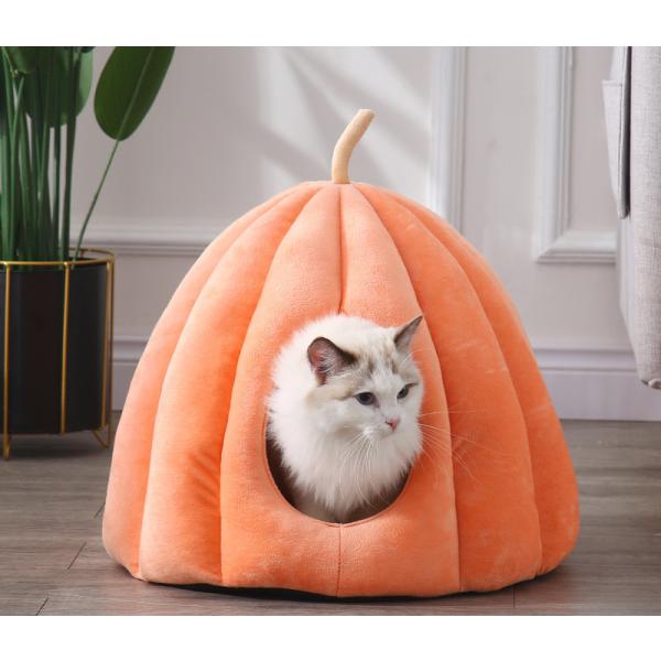 LnEX ^ Lxbh ۉh L ybgnEX xbh~p g h΍ ybgxbh ӂӂ Lpi