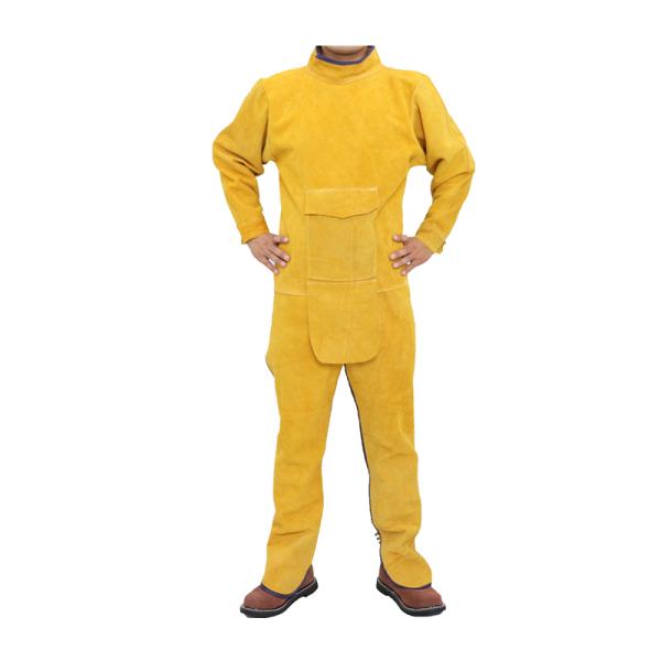 nڃGv dCnږh앞 nڕیWPbg ƕ h ₯ ΍ h ApX[c jp ₷