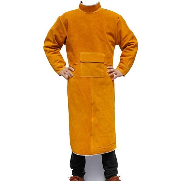 nڃGv v ƃGv nڗp dCn Gv h앞 ƕ [NGv c[|Pbg ϔM ύ h R ≏ ϋv h