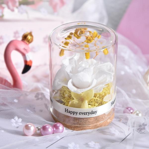 プリザーブドフラワー ガラスポット ケース入り ドライフラワー 枯れない花 フラワーギフト 永遠の花 妻 母の日 結婚記念日 誕生日プレゼント