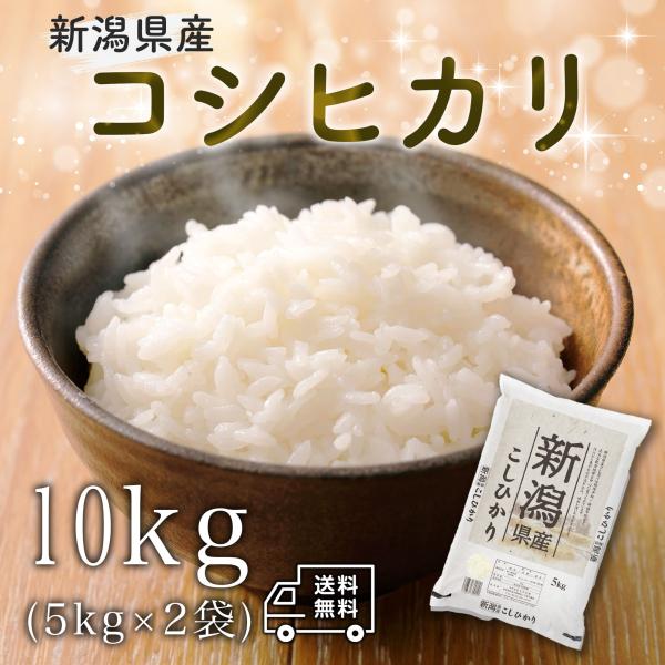 米 お米 10kg 新潟県産 コシヒカリ 白米 10キロ 令和5年産 送料無料 5kgx2袋 こしひかり 精米