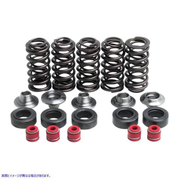 ysAiz ouXvOLbg LuzCg KIBBLEWHITE Valve Spring Kit 80-80100 #DRAG #09260249
