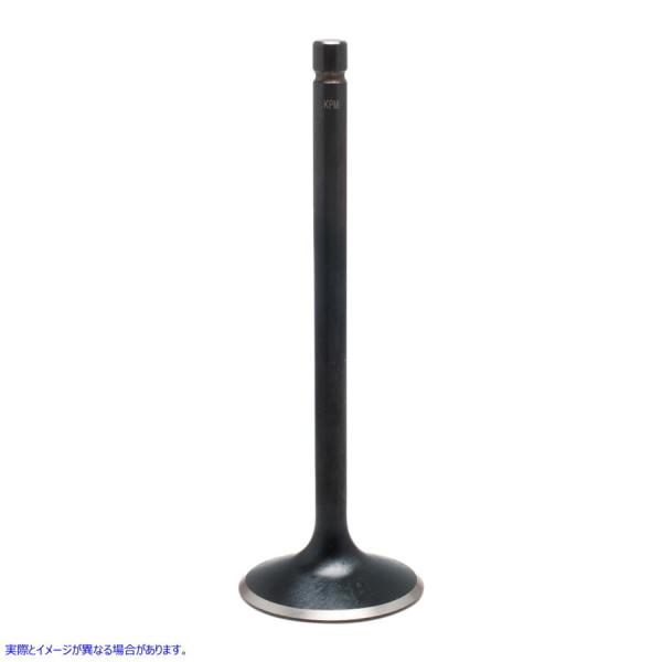 ysAiz ubN_ChGWou LuzCg KIBBLEWHITE Intake Valve 30-4221 #DRAG #09263048