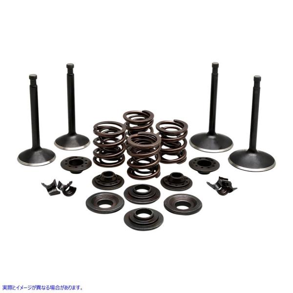 ysAiz SȃouLbg LuzCg KIBBLEWHITE Complete Valve Kit 20-22350 #DRAG #09263208