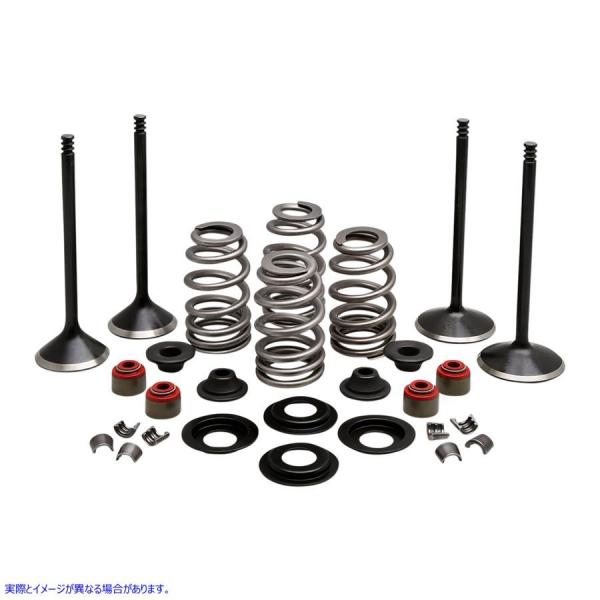 ysAiz Rv[gouLbg - cCJ LuzCg KIBBLEWHITE Complete Valve Kit - Twi 20-23150 #DRAG #09263220