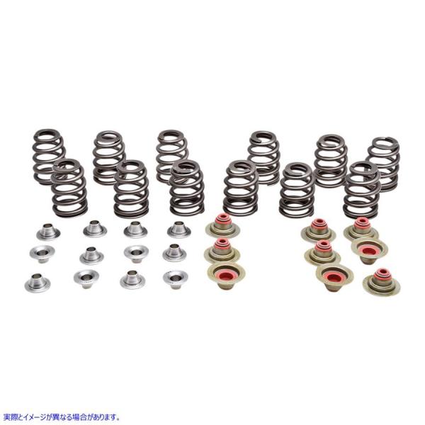 ysAiz ouXvOLbg - r[nCu LuzCg KIBBLEWHITE Valve Spring Kit - Beehive 91-91300 #DRAG #09263317