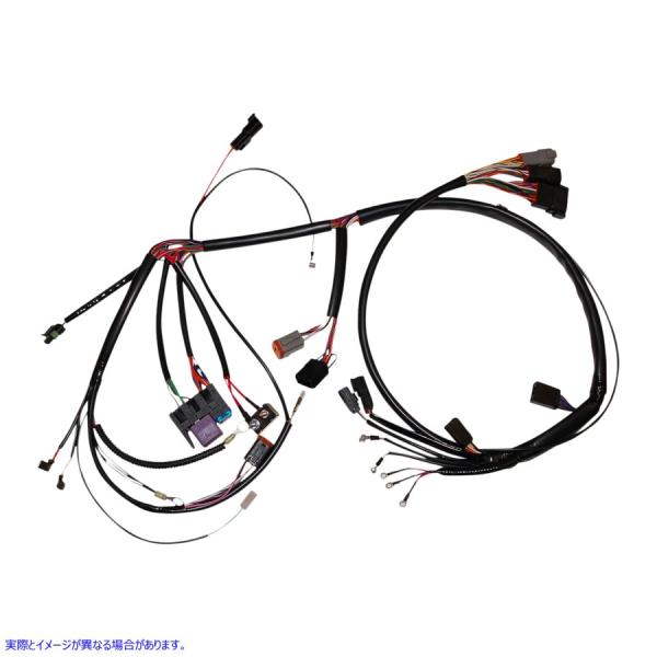 �y���s�A���i�z �i���Y ���C���[�n�[�l�X - 99-03 XL NHD-70153-99 21201018 NAMZ HARNESS XL 99-03 70153-99 #DRAG