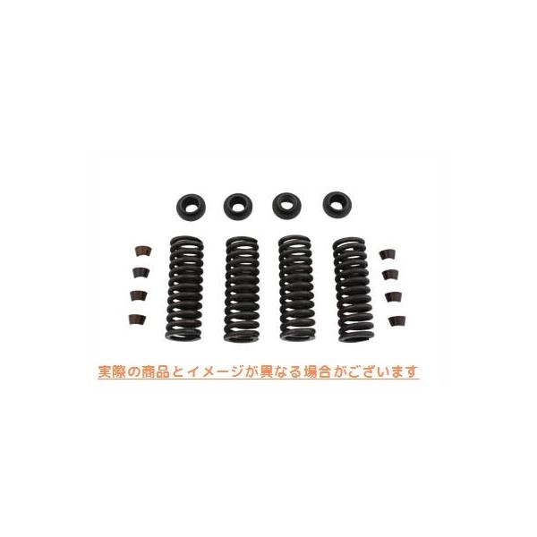 ysAiz 13-9189 ouXvOLbg  VcC Valve Spring Kit (p^ Eastern 15-0013