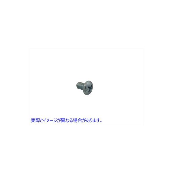 y݊iz 49-0161 nho[ObvLbvXN[  VcC Handlebar Grip Cap Screw (p^2594