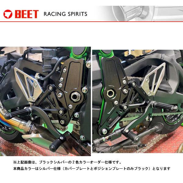 パーツ i 巨大翼竜の骨 73052 プテラノドン（またはニクトサウルス） 恐竜時代の