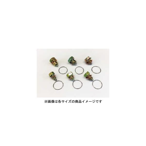 KIJIMA（キジマ） 【4月14日出荷】キジマ ワイヤーロックドレンボルト