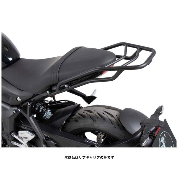 専用です。 Ninja1000SX テールカウル 2024 Ninja1000SX テールカウル 2024