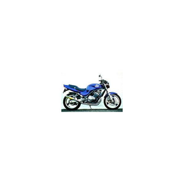 RMP RPM バリオス マフラー RPM67マフラー(レーシング) バリオス(91