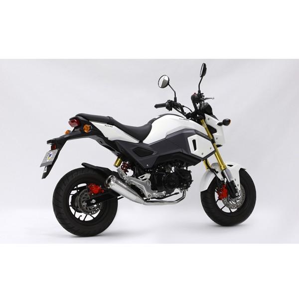 L 16O MEGAPHONE SUS 01810-H11N5-00