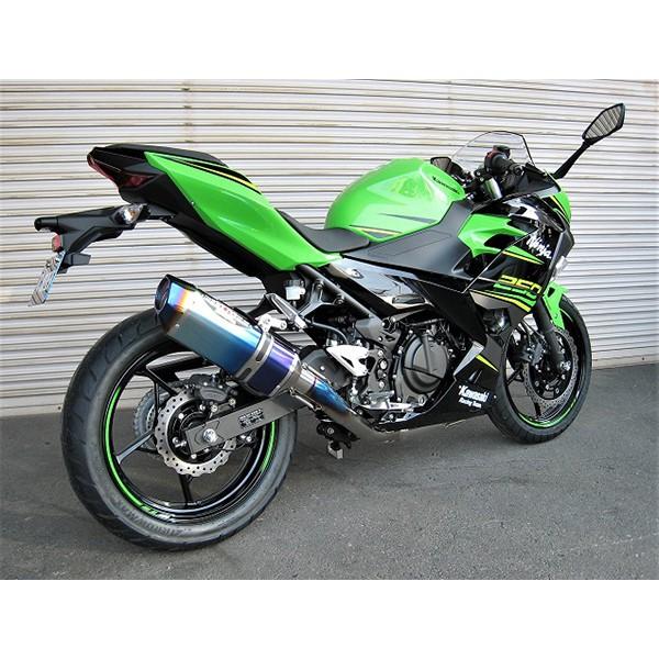 BEET jW250 }t[ NASSERT Evolution Type2 tGL][Xg}t[[u[`^TCT[dl]jW250('18)  0227-KE5-BL