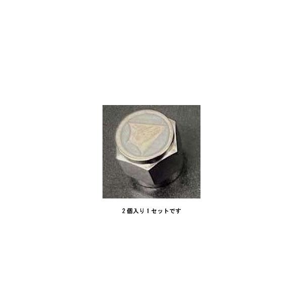 BEET（ビート） チタンエアバルブキャップセット シルバー 0693-000-00