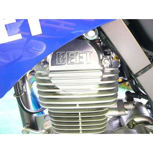 BEET（ビート） BEET Dトラッカー125/KLX125 '10用 BIG フィン