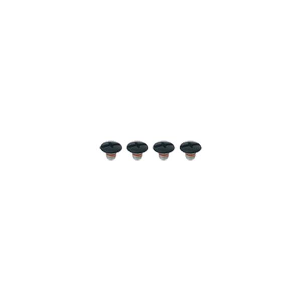 【8月18日出荷】OGKカブト 6×6ビス KAMUI用 シールドラチェットビスセット OGK4966094518004