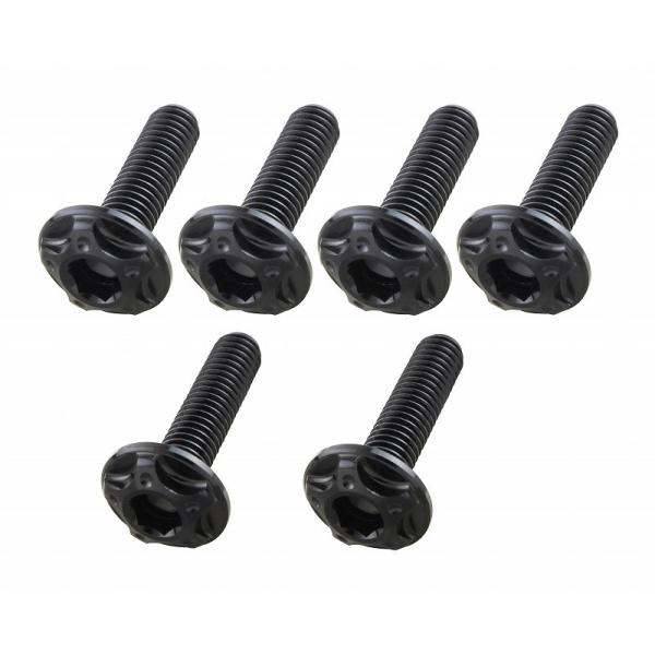 【8月11日出荷】POSH ZRX1200DAEG ビレットスクリーンボルトSET M5x18mm4/M5x20mm2入 ブラック 507035-06