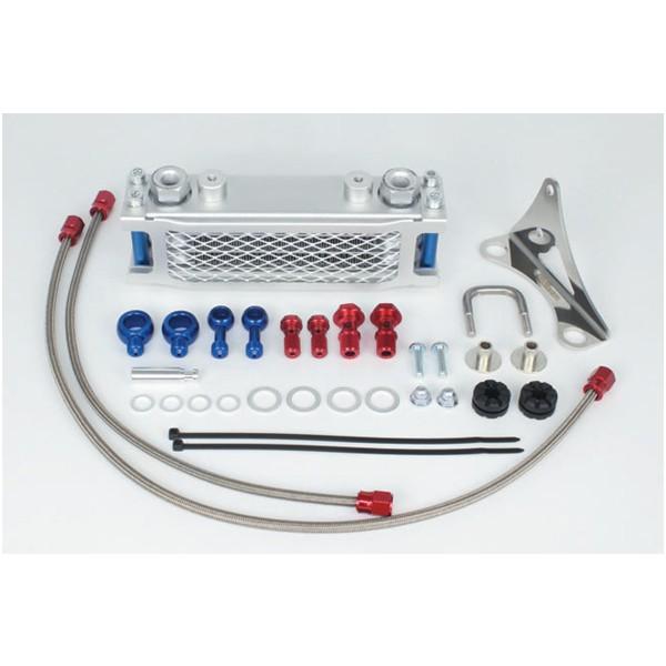  RpNgN[Lbg(Nb`/XC/3tB4ICC)  GCv50/100EXR50/100^[h SP07-07-0264