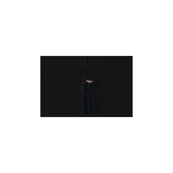 JUNCTION PRODUCE�i�W�����N�V�����v���f���[�X�j �ӂ��@�g�����с@���@��i�S����46cm)
