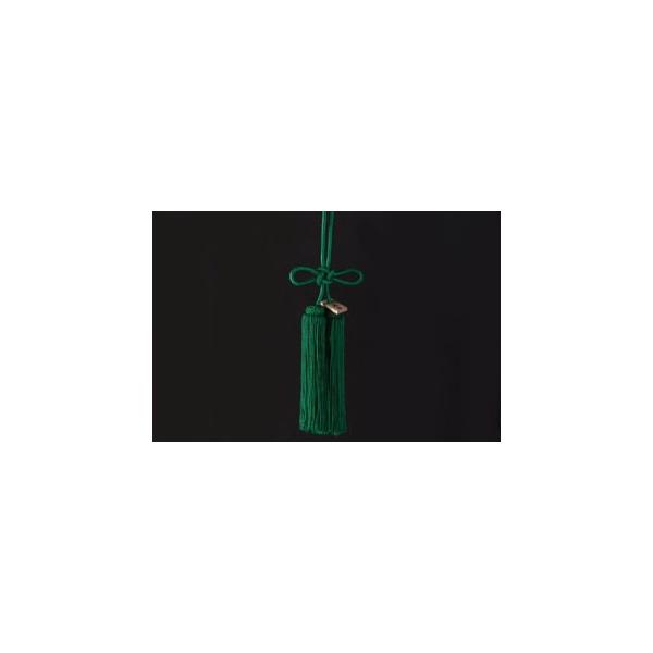 JUNCTION PRODUCE�i�W�����N�V�����v���f���[�X�j �ӂ��@�g�����с@�΁@���i�S����30cm)