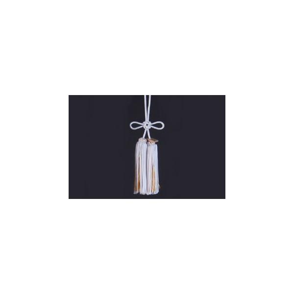 JUNCTION PRODUCE�i�W�����N�V�����v���f���[�X�j �ӂ��@�g�����с@�����@���i�S����30cm)
