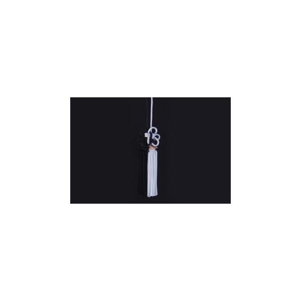 JUNCTION PRODUCE�i�W�����N�V�����v���f���[�X�j �ӂ��@�e���с@�����@��i�S����63cm)