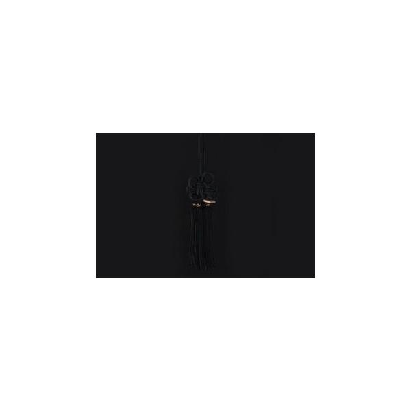 JUNCTION PRODUCE�i�W�����N�V�����v���f���[�X�j �ӂ��@�e���с@���@���i�S����30cm)